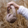 Skullcandy Crusher ANC 2 Primer - 1610069 - zdjęcie 4